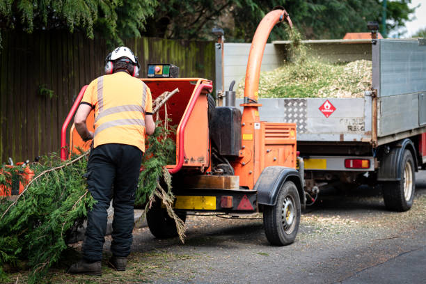 Grass Overseeding in South Hill, VA