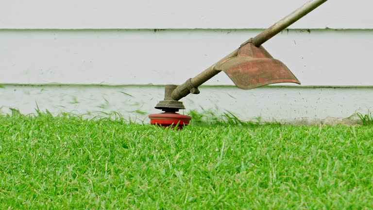 Best Lawn Drainage Solutions  in South Hill, VA