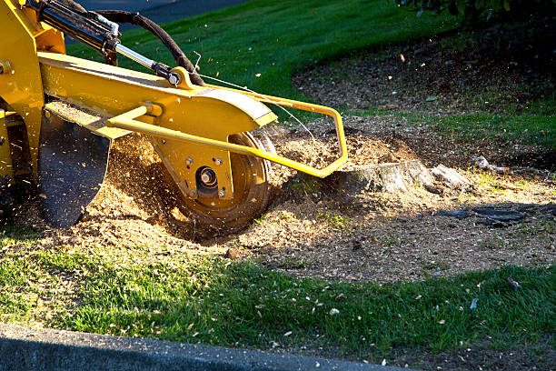 Mulching Services in South Hill, VA