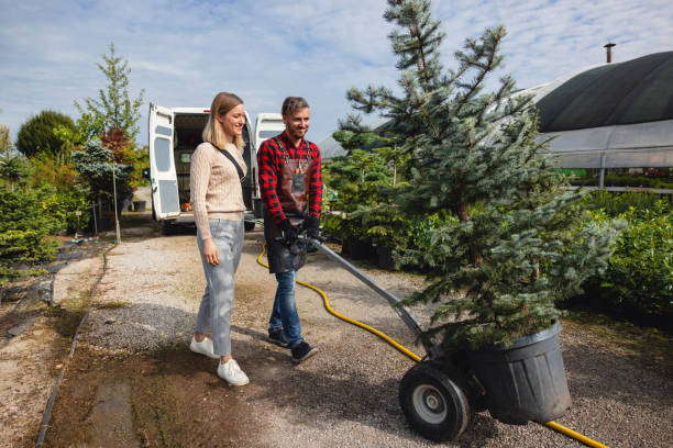  South Hill, VA Tree Services Pros